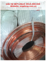 Băng đồng tiếp địa 25x3