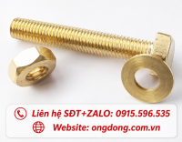 Bulong đồng M14